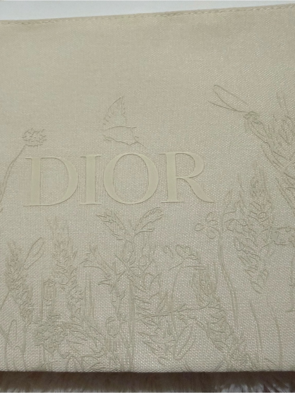 Dior Cream Satin Zip Pouch